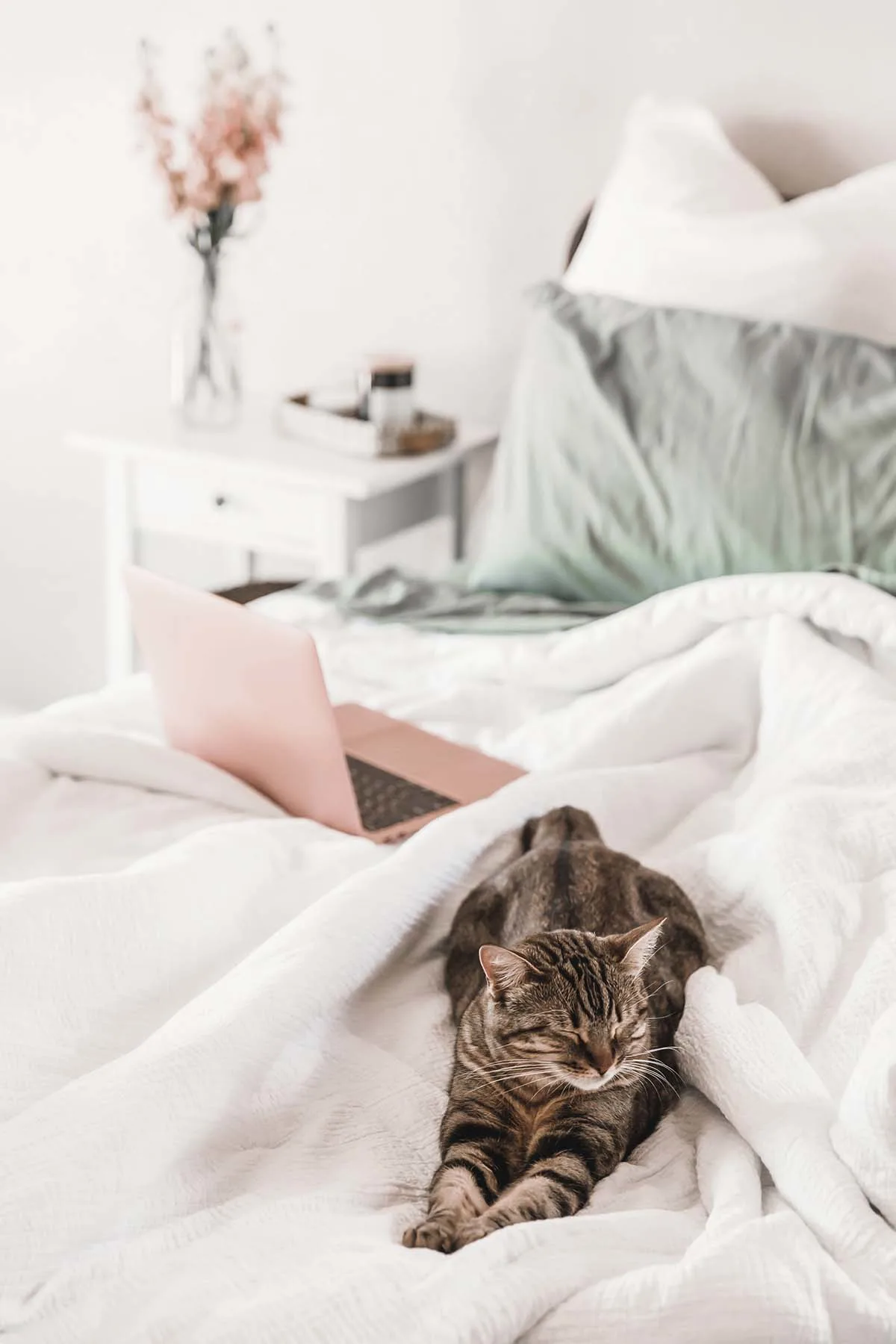 Your bedroom is supposed to be your sanctuary, but can quickly become a room of chaos. Here are 5 things to keep out of the bedroom to keep it calm and cozy.
